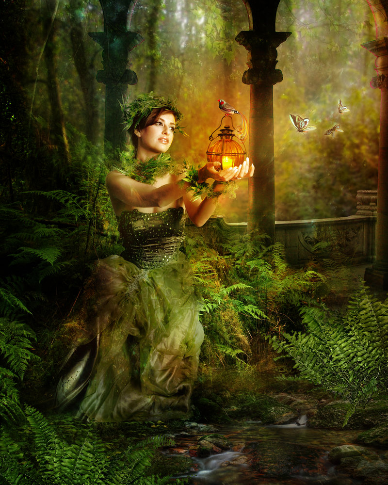 Fern by inertiak d5dwfp2