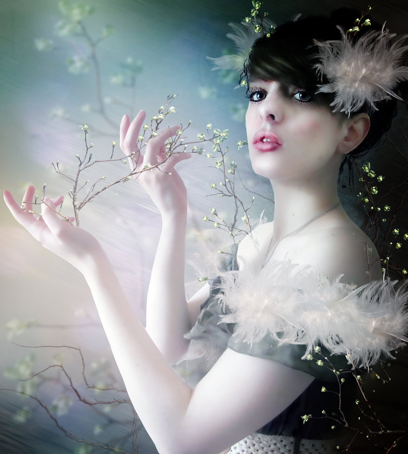 Twigs by inertiak d5f9q2e