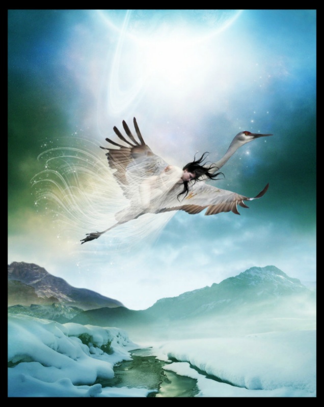 Dream Flight by InertiaK