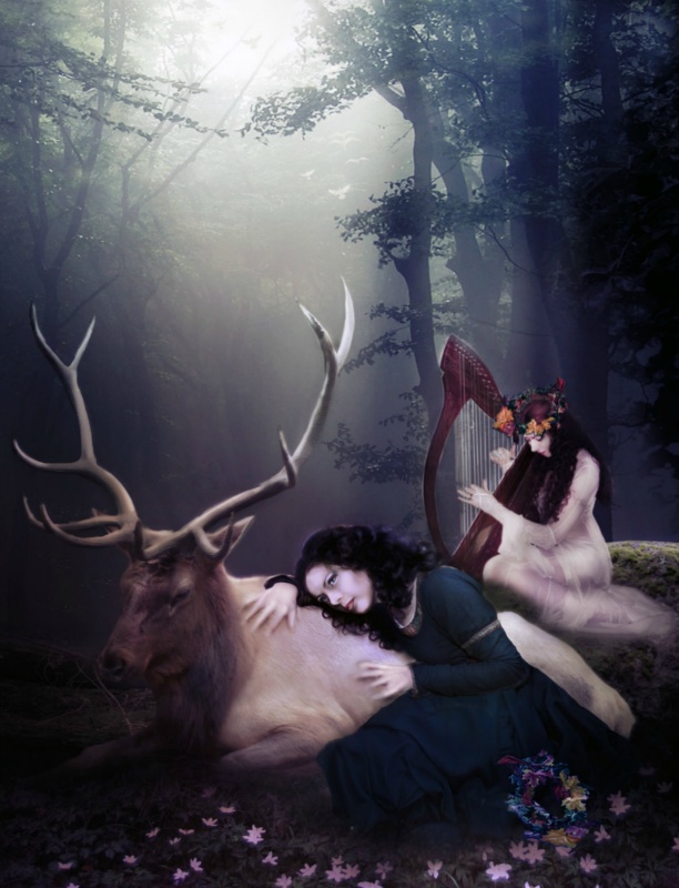 King of the Forest by InertiaK