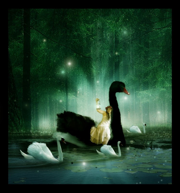 Swan1