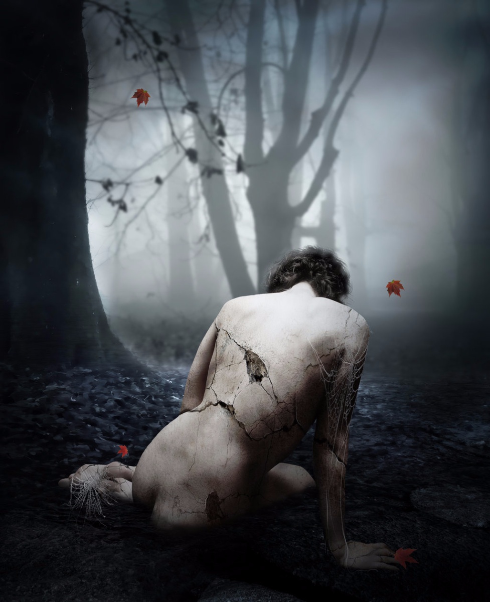 Wilted flower by inertiak d4ea0va