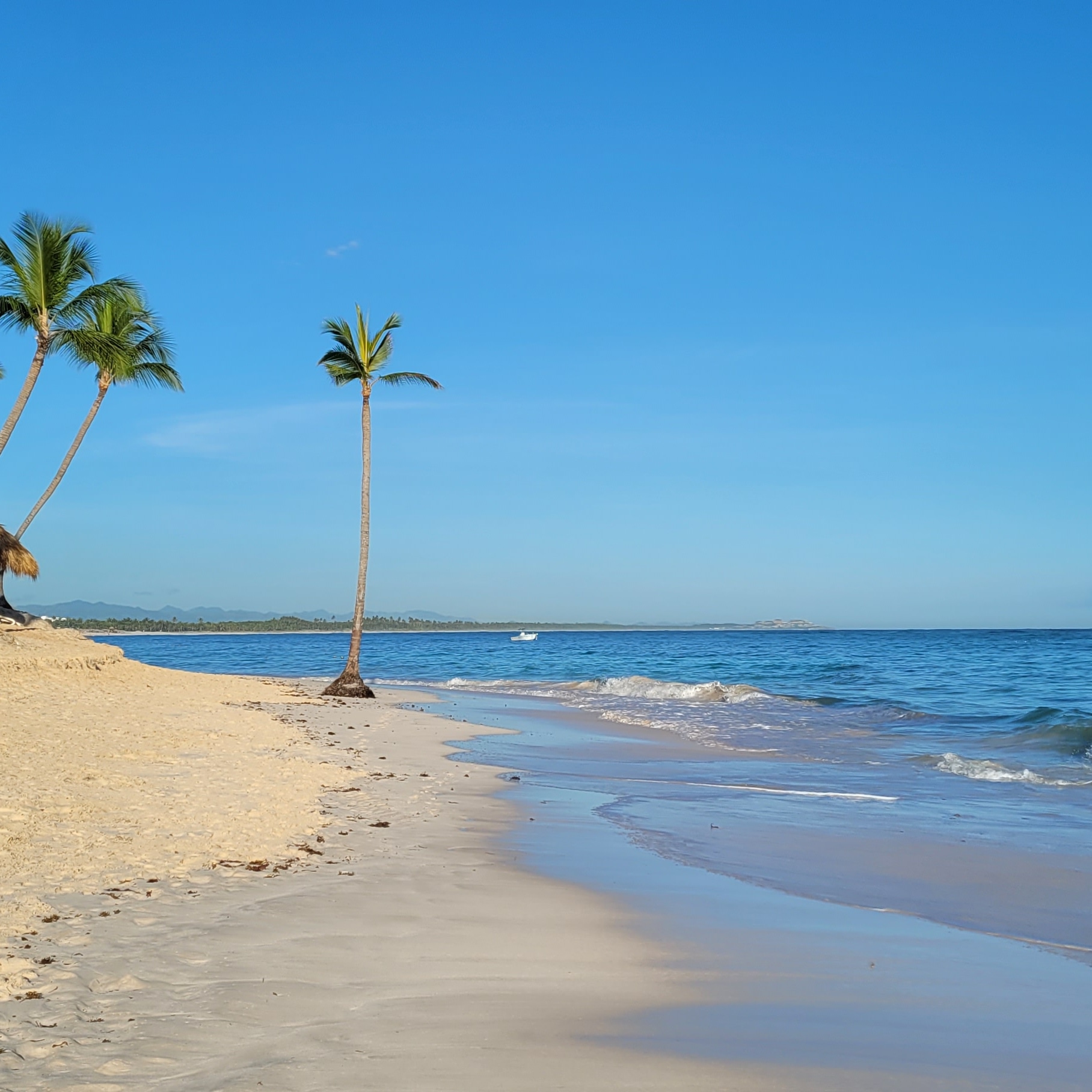 IMG 20211107 093254 195